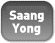 Saang Yong alkatrszek logo